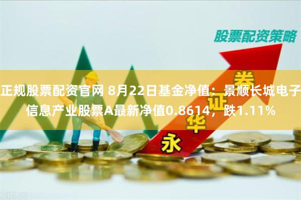 正规股票配资官网 8月22日基金净值：景顺长城电子信息产业股票A最新净值0.8614，跌1.11%